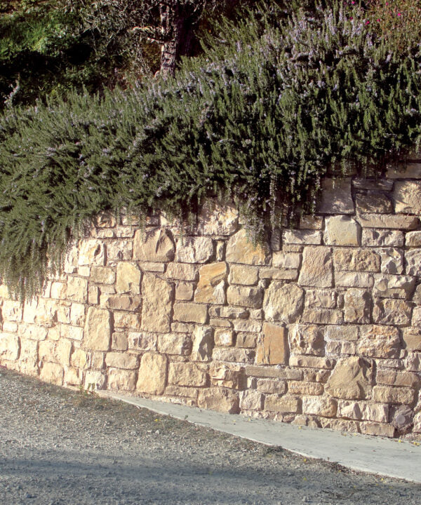 Stone Cladding - Bergamo